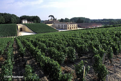 El vino de Burdeos