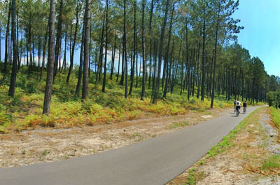 Cicloturismo en las Landas