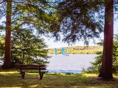 Senderismo en el lago de Soustons