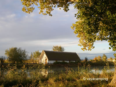 Parque Natural del Delta del Ebro