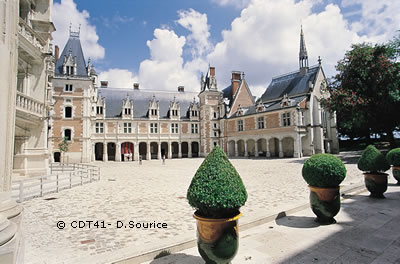 Castillo de Blois